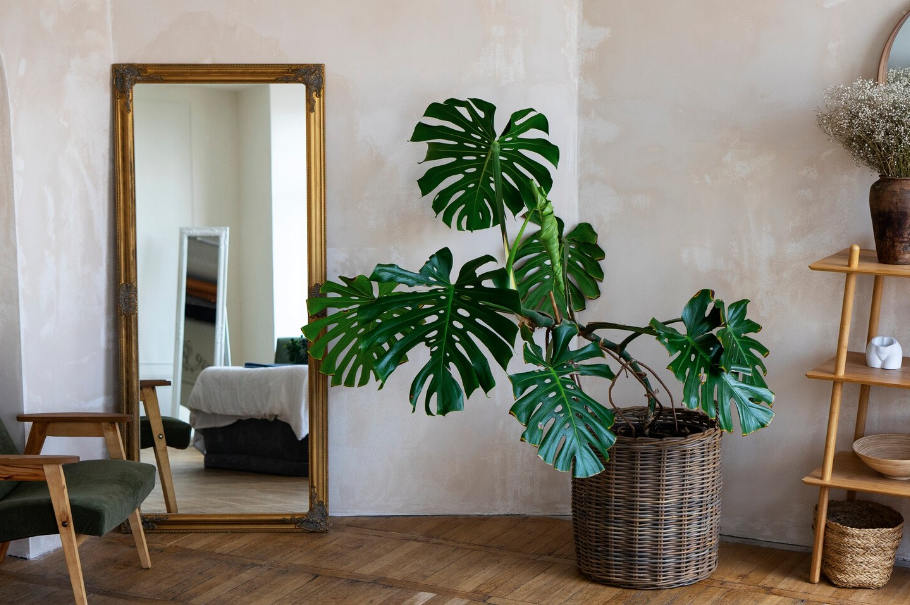 Saiba onde comprar espelho sob medida: conheça a Vitrais Santa Terezinha